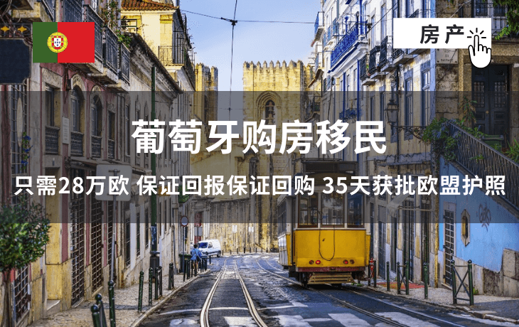项目照片