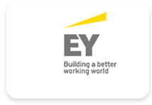 partner image