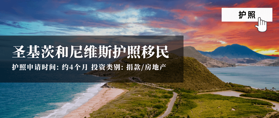 项目图片